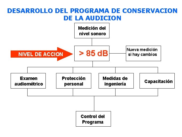 DESARROLLO DEL PROGRAMA DE CONSERVACION DE LA AUDICION Medición del nivel sonoro NIVEL DE