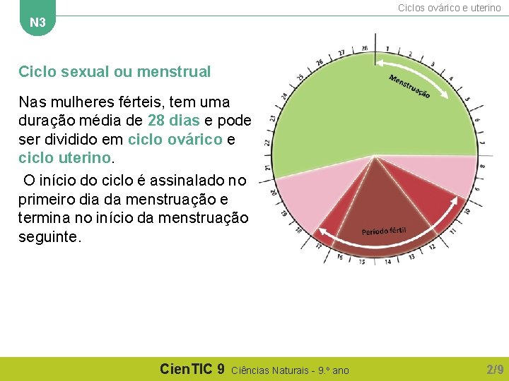 Ciclos ovárico e uterino N 3 Ciclo sexual ou menstrual Nas mulheres férteis, tem Ciclos ovárico e uterino N 3 Ciclo sexual ou menstrual Nas mulheres férteis, tem