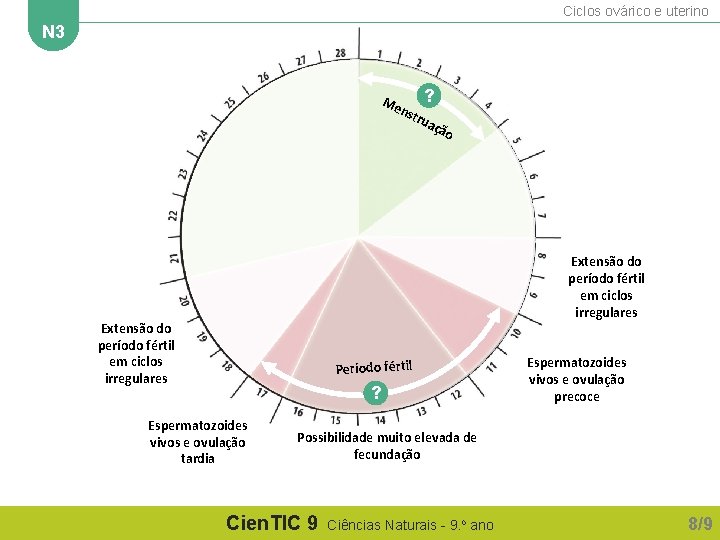 Ciclos ovárico e uterino N 3 Me ? nst rua ção Extensão do período Ciclos ovárico e uterino N 3 Me ? nst rua ção Extensão do período