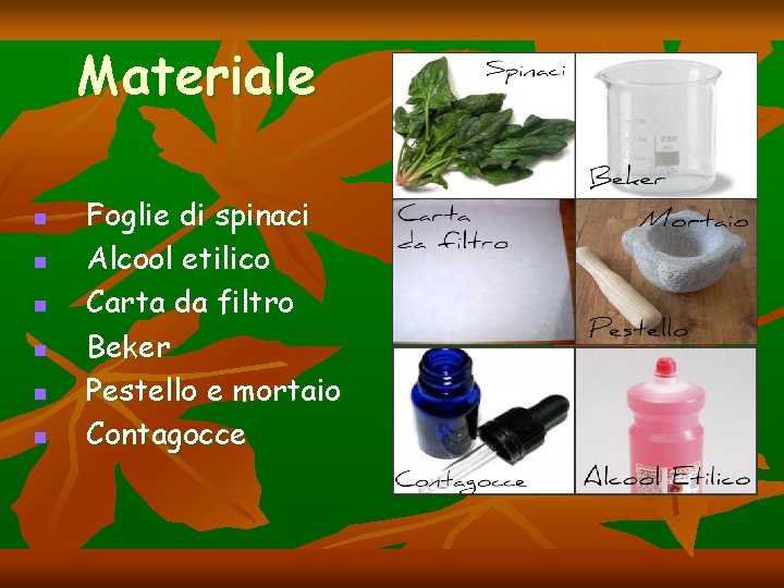 Materiale n n n Foglie di spinaci Alcool etilico Carta da filtro Beker Pestello Materiale n n n Foglie di spinaci Alcool etilico Carta da filtro Beker Pestello