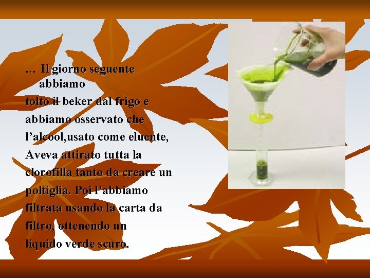 … Il giorno seguente abbiamo tolto il beker dal frigo e abbiamo osservato che … Il giorno seguente abbiamo tolto il beker dal frigo e abbiamo osservato che