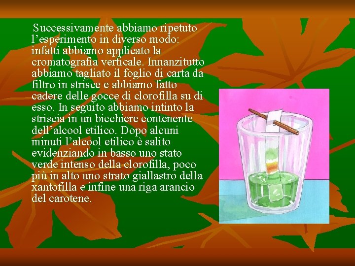 Successivamente abbiamo ripetuto l’esperimento in diverso modo: infatti abbiamo applicato la cromatografia verticale. Innanzitutto Successivamente abbiamo ripetuto l’esperimento in diverso modo: infatti abbiamo applicato la cromatografia verticale. Innanzitutto