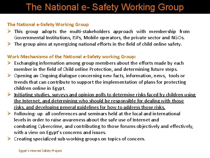 The National e- Safety Working Group The National e-Safety Working Group Ø This group The National e- Safety Working Group The National e-Safety Working Group Ø This group
