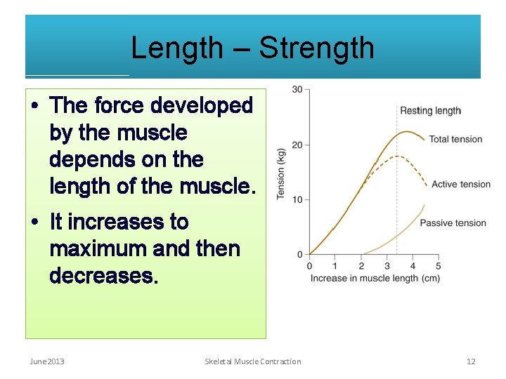 Length – Strength • The force developed by the muscle depends on the length Length – Strength • The force developed by the muscle depends on the length