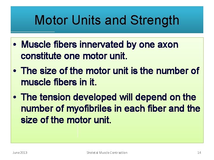Motor Units and Strength • Muscle fibers innervated by one axon constitute one motor Motor Units and Strength • Muscle fibers innervated by one axon constitute one motor