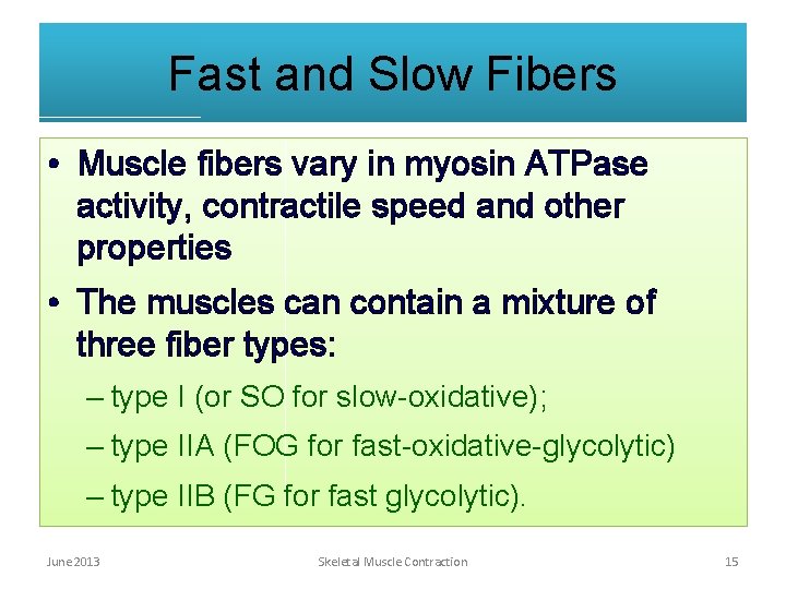 Fast and Slow Fibers • Muscle fibers vary in myosin ATPase activity, contractile speed Fast and Slow Fibers • Muscle fibers vary in myosin ATPase activity, contractile speed