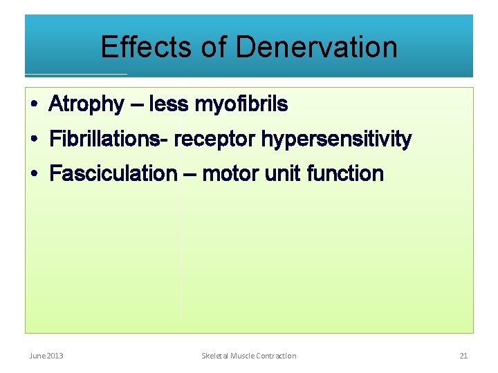 Effects of Denervation • Atrophy – less myofibrils • Fibrillations- receptor hypersensitivity • Fasciculation Effects of Denervation • Atrophy – less myofibrils • Fibrillations- receptor hypersensitivity • Fasciculation