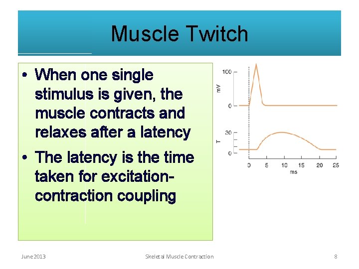 Muscle Twitch • When one single stimulus is given, the muscle contracts and relaxes Muscle Twitch • When one single stimulus is given, the muscle contracts and relaxes