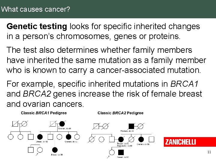 What causes cancer? Genetic testing looks for specific inherited changes in a person’s chromosomes,