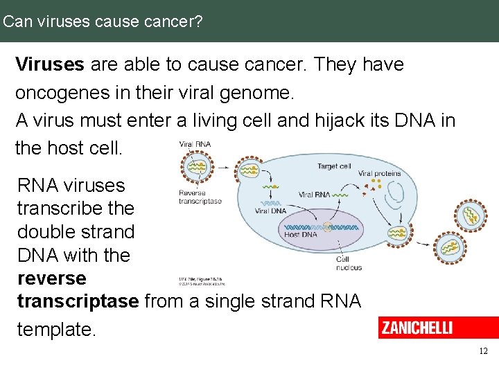 Can viruses cause cancer? Viruses are able to cause cancer. They have oncogenes in