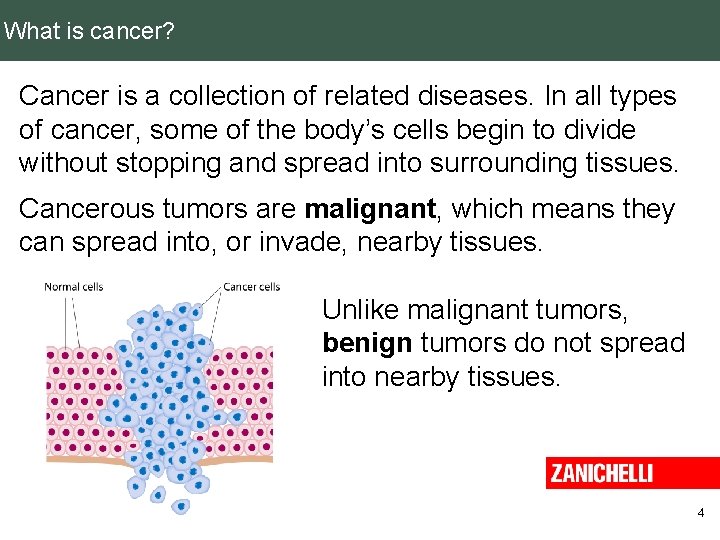 What is cancer? Cancer is a collection of related diseases. In all types of