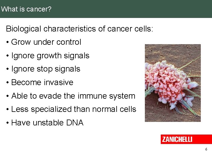 What is cancer? Biological characteristics of cancer cells: • Grow under control • Ignore