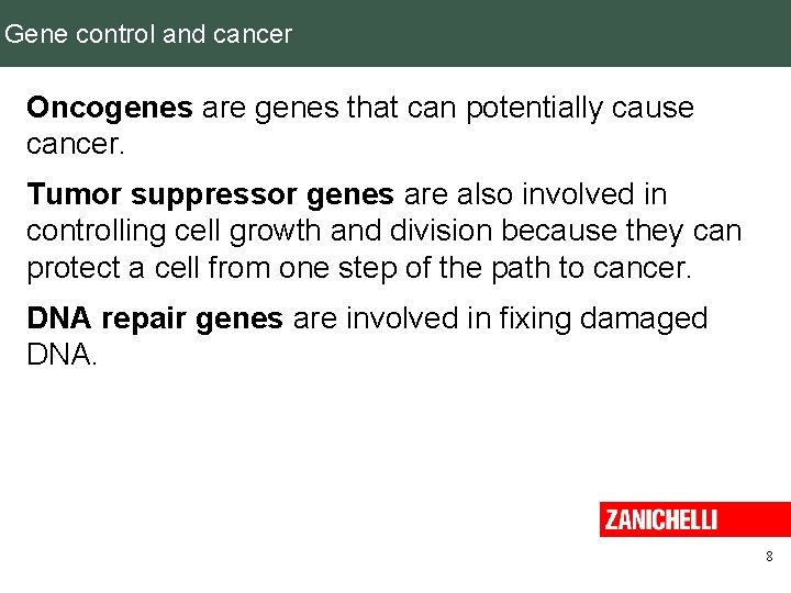 Gene control and cancer Oncogenes are genes that can potentially cause cancer. Tumor suppressor