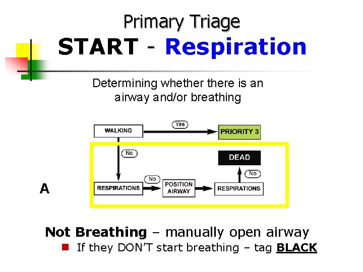Primary Triage START - Respiration Determining whethere is an airway and/or breathing A Not