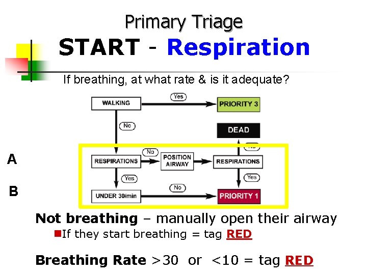 Primary Triage START - Respiration If breathing, at what rate & is it adequate?