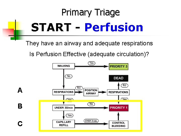 Primary Triage START - Perfusion They have an airway and adequate respirations Is Perfusion