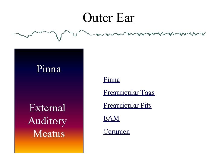 Outer Ear Pinna Preauricular Tags External Auditory Meatus Preauricular Pits EAM Cerumen 