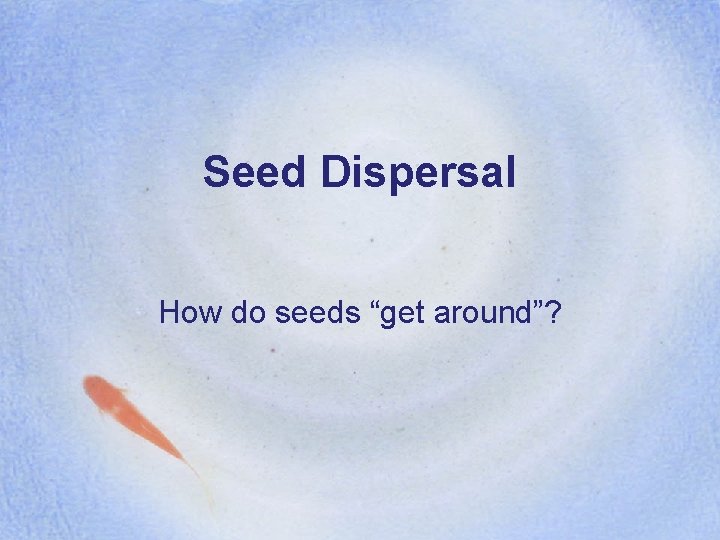 Seed Dispersal How do seeds “get around”? 