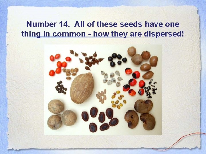 Number 14. All of these seeds have one thing in common - how they