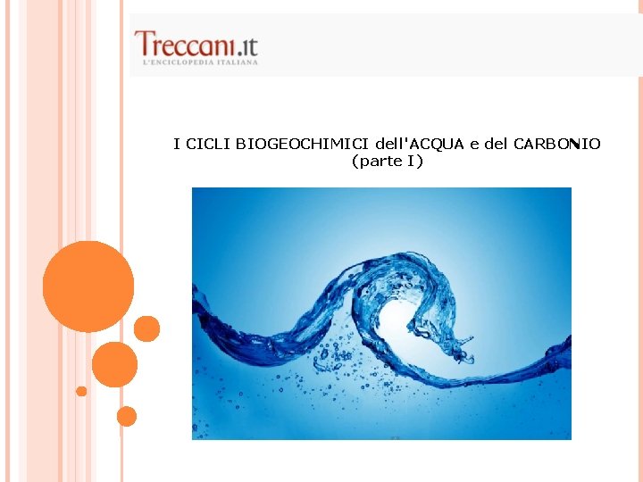 I CICLI BIOGEOCHIMICI dell'ACQUA e del CARBONIO (parte I) 