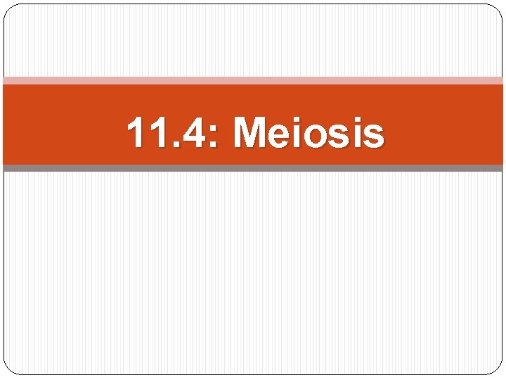 11. 4: Meiosis 