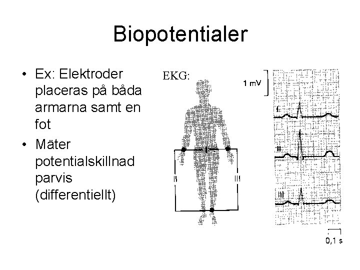 Biopotentialer • Ex: Elektroder placeras på båda armarna samt en fot • Mäter potentialskillnad