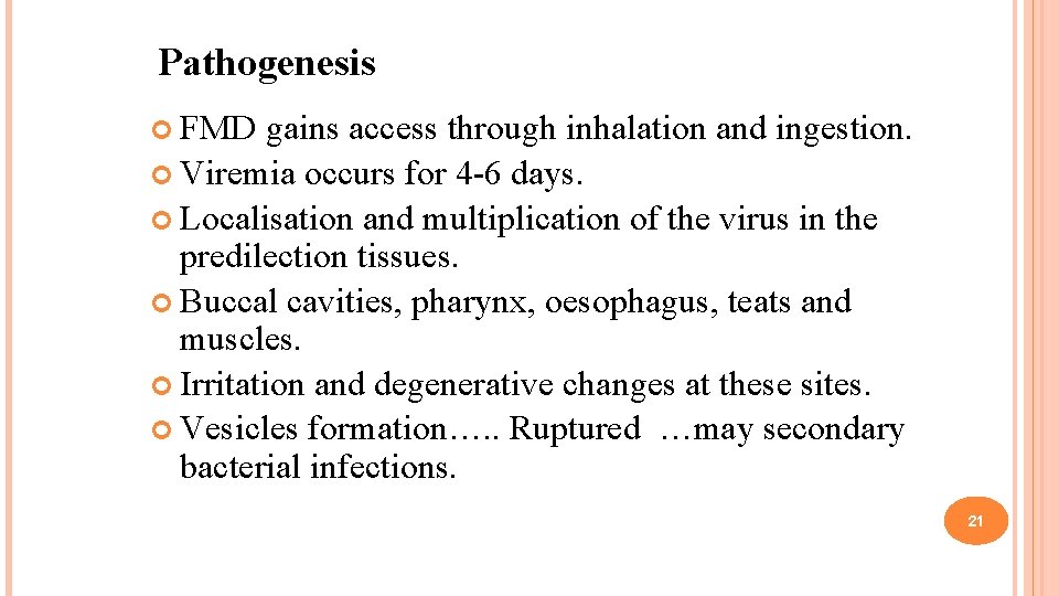 Pathogenesis FMD gains access through inhalation and ingestion. Viremia occurs for 4 -6 days.