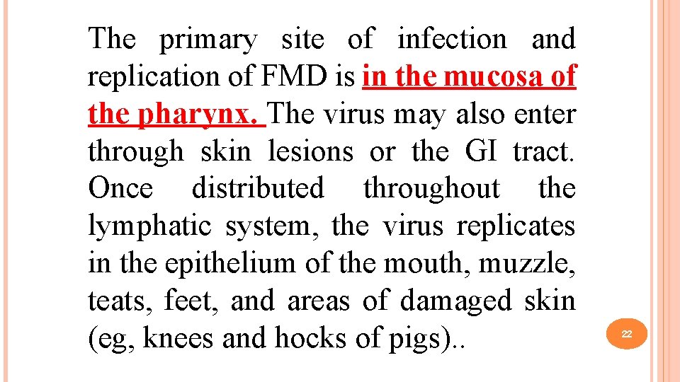 The primary site of infection and replication of FMD is in the mucosa of