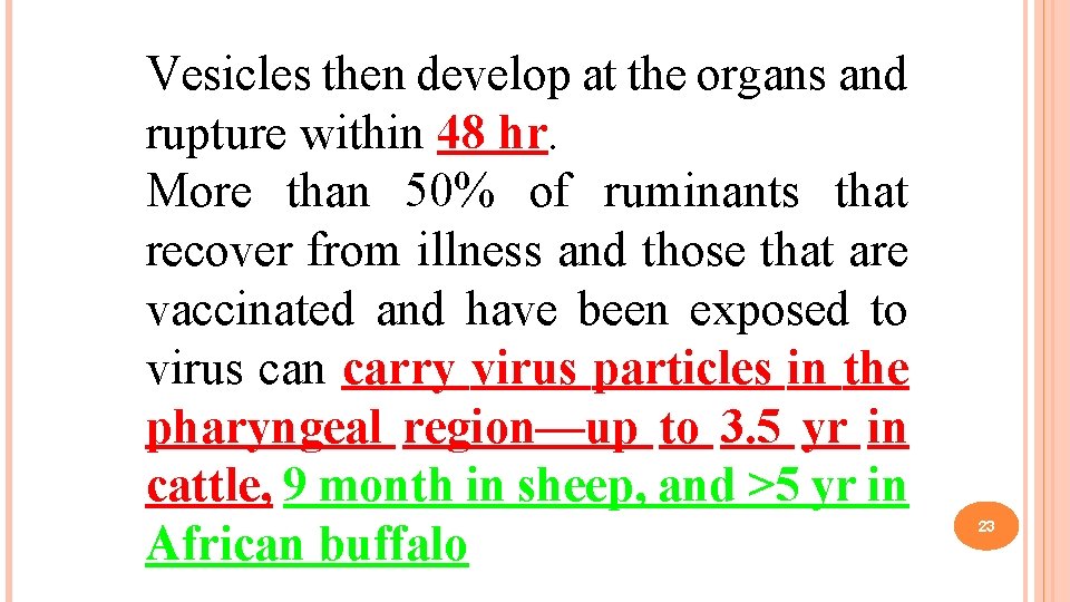 Vesicles then develop at the organs and rupture within 48 hr. More than 50%