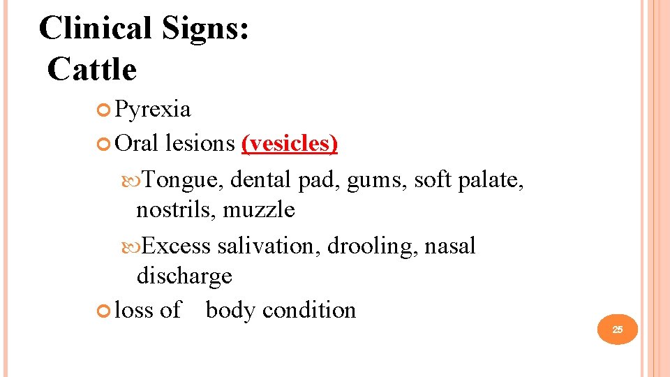 Clinical Signs: Cattle Pyrexia Oral lesions (vesicles) Tongue, dental pad, gums, soft palate, nostrils,