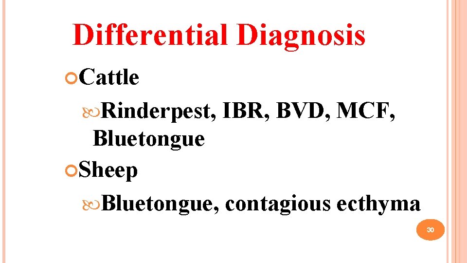 Differential Diagnosis Cattle Rinderpest, IBR, BVD, MCF, Bluetongue Sheep Bluetongue, contagious ecthyma 30 