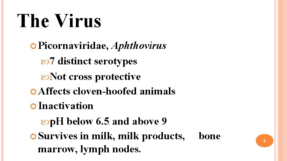 The Virus Picornaviridae, Aphthovirus 7 distinct serotypes Not cross protective Affects cloven-hoofed animals Inactivation