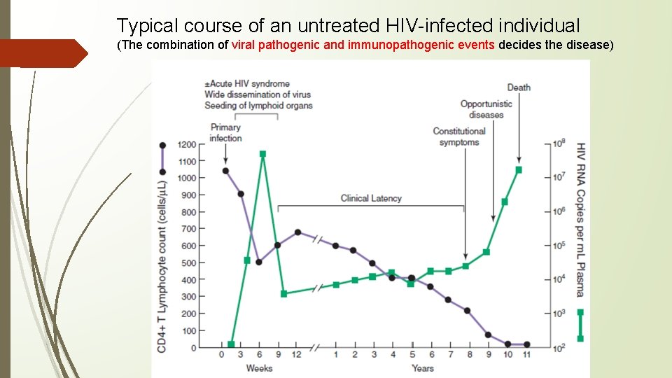 Typical course of an untreated HIV-infected individual (The combination of viral pathogenic and immunopathogenic