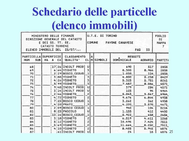 Schedario delle particelle (elenco immobili) 25 