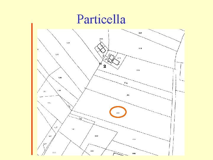 Particella 