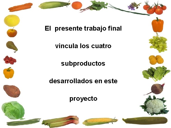 El presente trabajo final vincula los cuatro subproductos desarrollados en este proyecto 