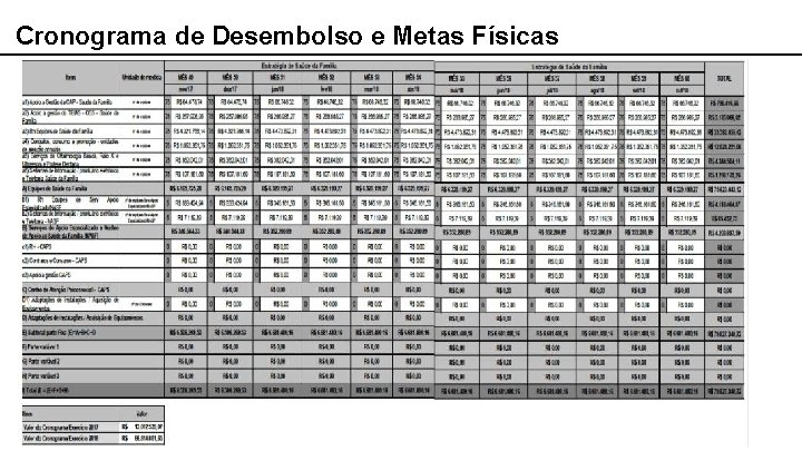 Cronograma de Desembolso e Metas Físicas 