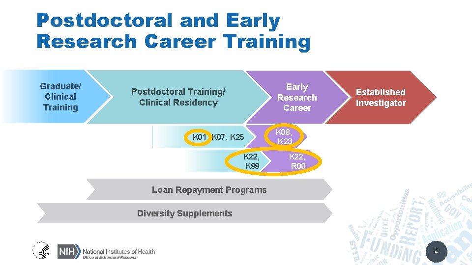 Postdoctoral and Early Research Career Training Graduate/ Clinical Training Early Research Career Postdoctoral Training/