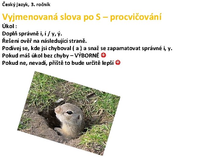 Český jazyk, 3. ročník Vyjmenovaná slova po S – procvičování Úkol : Doplň správně