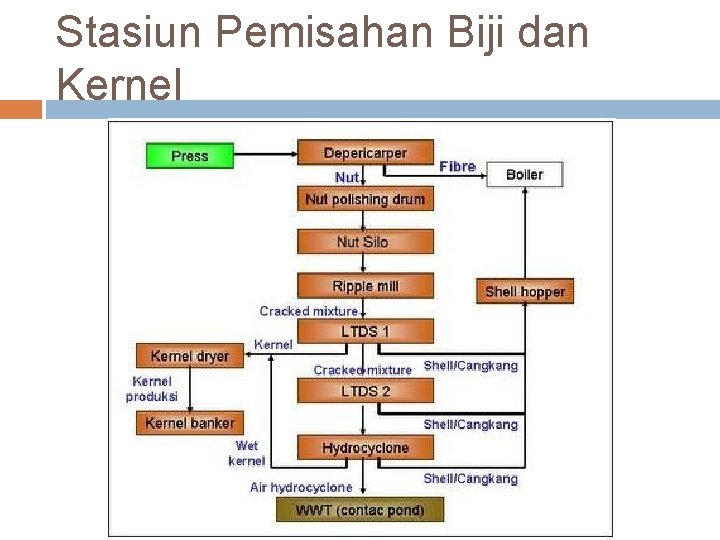 Stasiun Pemisahan Biji dan Kernel 