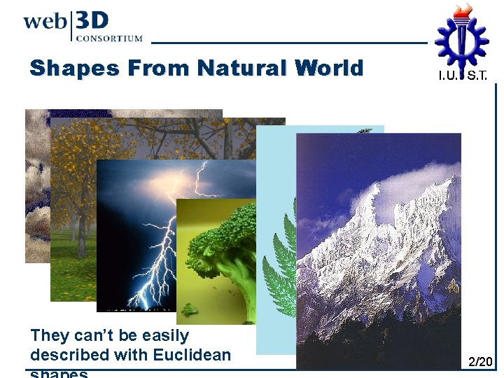 Shapes From Natural World They can’t be easily described with Euclidean 2/20 