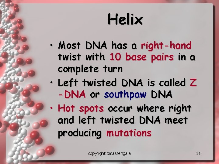 Helix • Most DNA has a right-hand twist with 10 base pairs in a