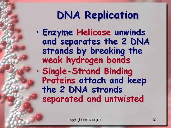 DNA Replication • Enzyme Helicase unwinds and separates the 2 DNA strands by breaking