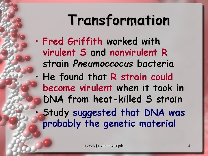 Transformation • Fred Griffith worked with virulent S and nonvirulent R strain Pneumoccocus bacteria