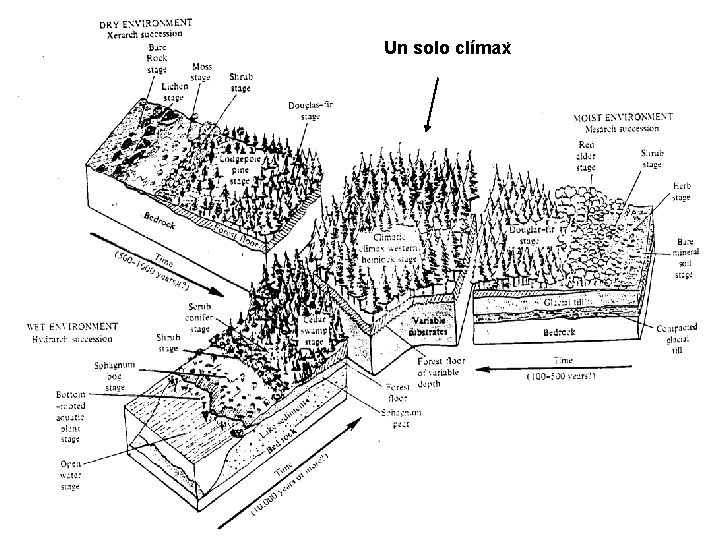 Un solo clímax 