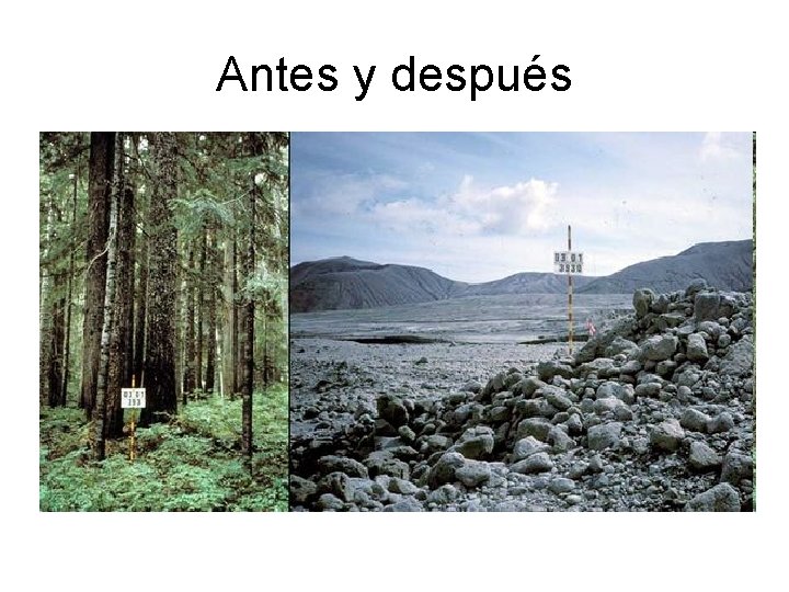 Antes y después 