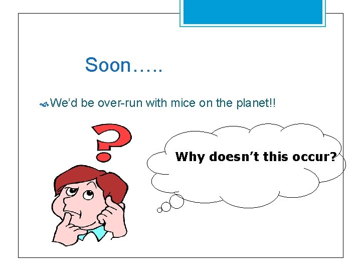 Soon…. . We’d be over-run with mice on the planet!! Why doesn’t this occur?