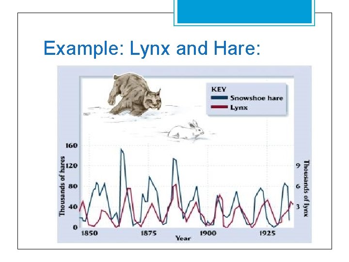 Example: Lynx and Hare: 