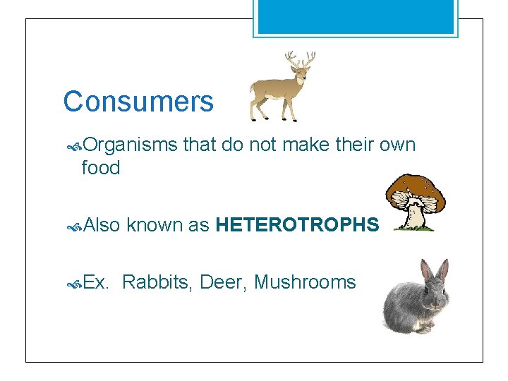 Consumers Organisms that do not make their own food Also known as HETEROTROPHS Ex.