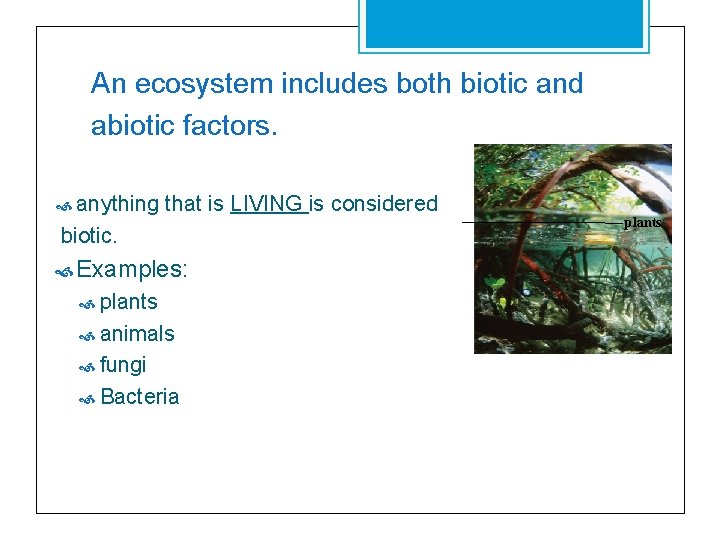 An ecosystem includes both biotic and abiotic factors. anything that is LIVING is considered